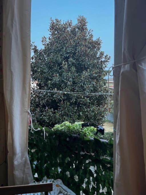 Appartamento Treviglio-Centro Экстерьер фото